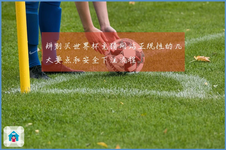 辨别买世界杯竞猜网站正规性的几大要点和安全下注流程