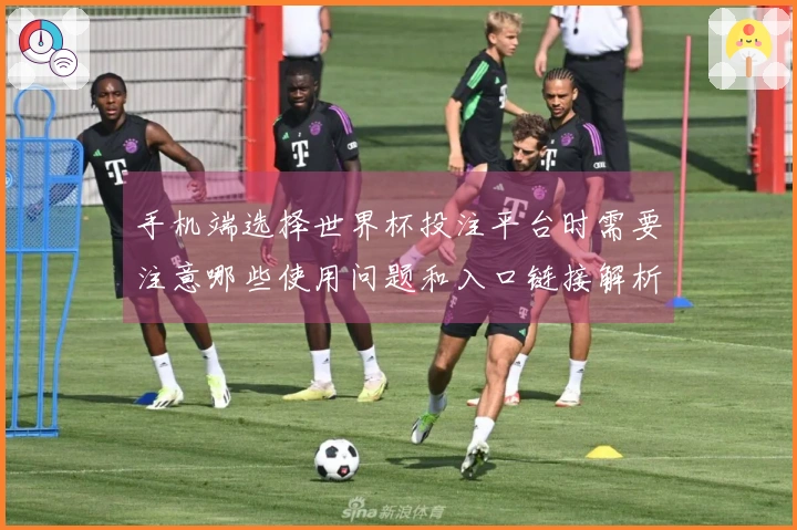 手机端选择世界杯投注平台时需要注意哪些使用问题和入口链接解析