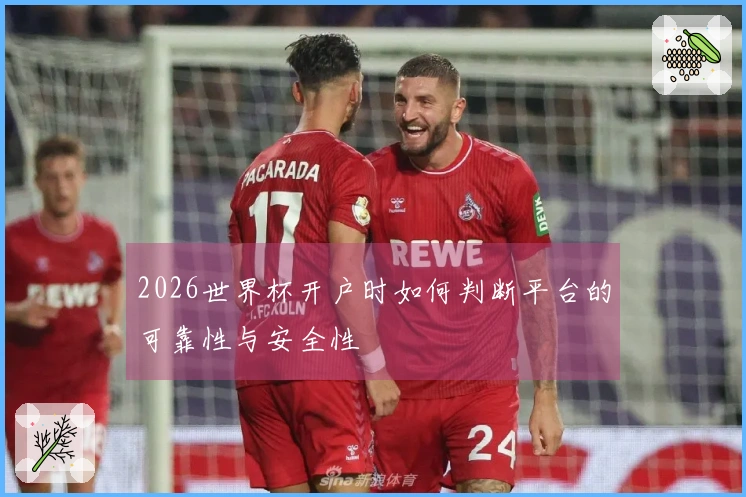 2026世界杯开户时如何判断平台的可靠性与安全性