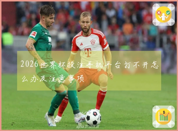 2026世界杯投注手机平台打不开怎么办及注意事项