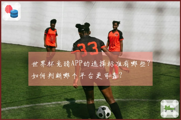 世界杯竞猜APP的选择标准有哪些？如何判断哪个平台更可靠？
