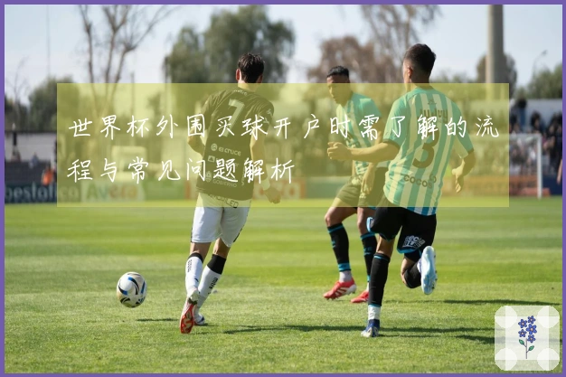 世界杯外围买球开户时需了解的流程与常见问题解析