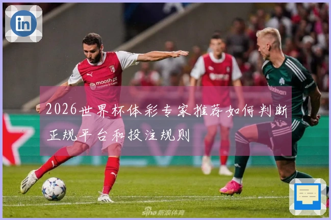 2026世界杯体彩专家推荐如何判断正规平台和投注规则