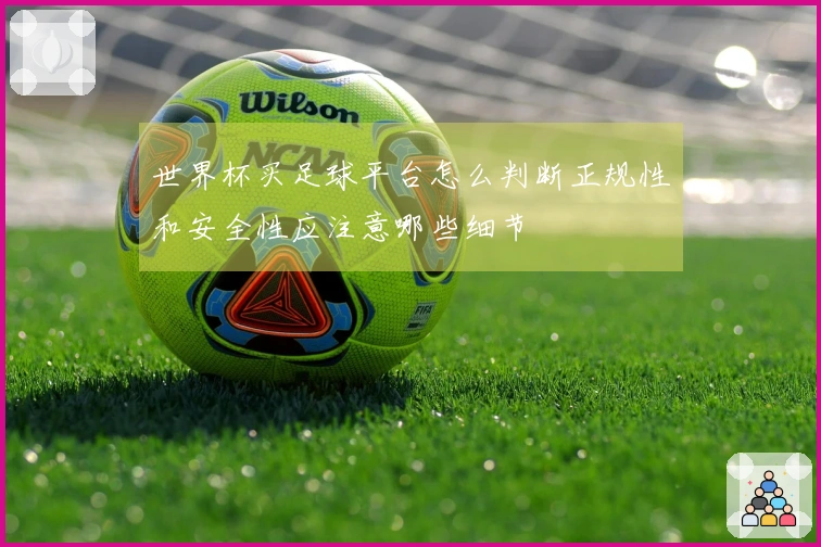世界杯买足球平台怎么判断正规性和安全性应注意哪些细节