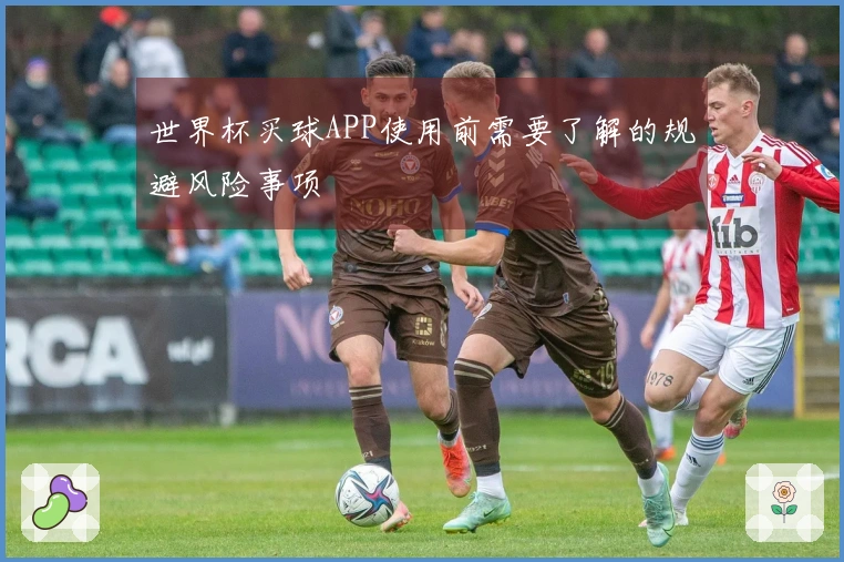 世界杯买球APP使用前需要了解的规避风险事项