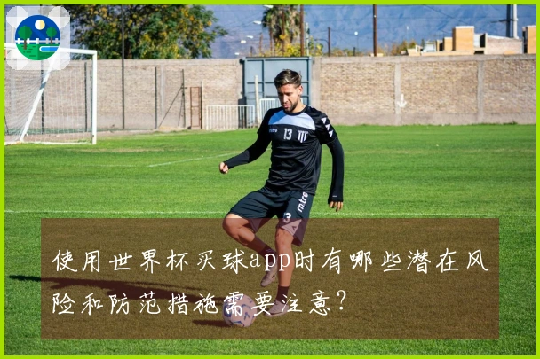 使用世界杯买球app时有哪些潜在风险和防范措施需要注意？