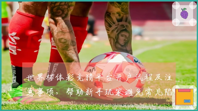 世界杯体彩竞猜平台开户流程及注意事项，帮助新手玩家避免常见陷阱