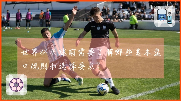 世界杯买球前需要了解哪些基本盘口规则和选择要点？
