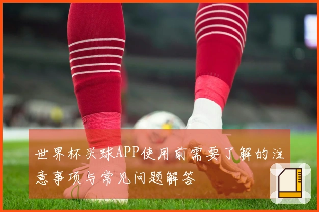 世界杯买球APP使用前需要了解的注意事项与常见问题解答