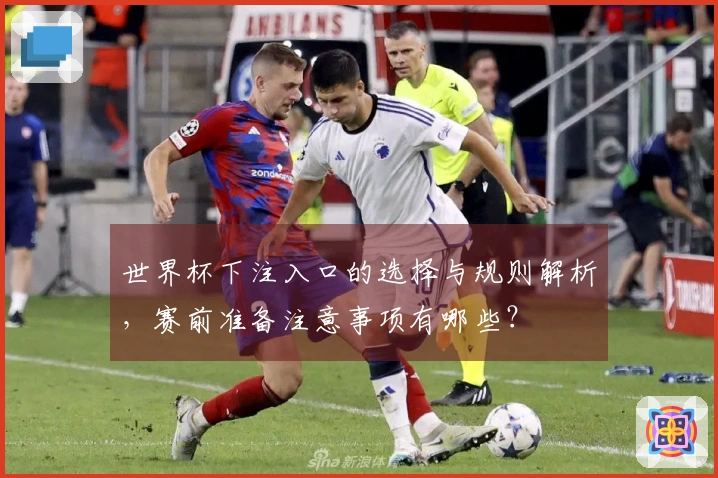 世界杯下注入口的选择与规则解析，赛前准备注意事项有哪些？