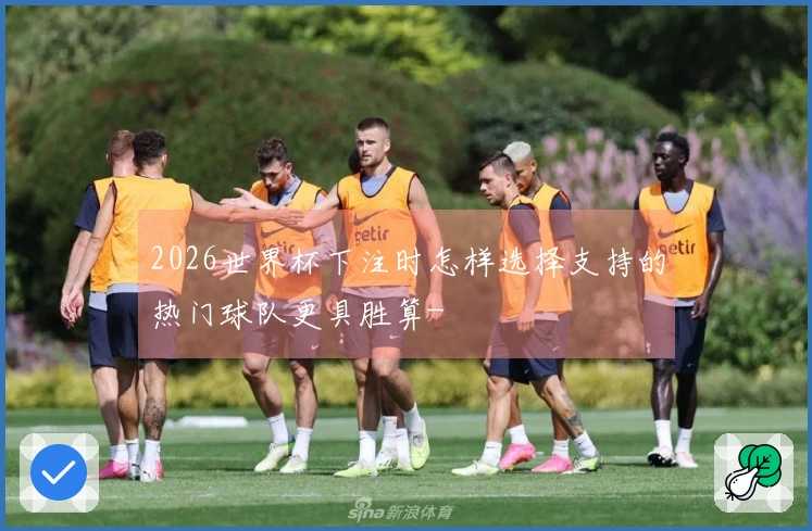 2026世界杯下注时怎样选择支持的热门球队更具胜算-