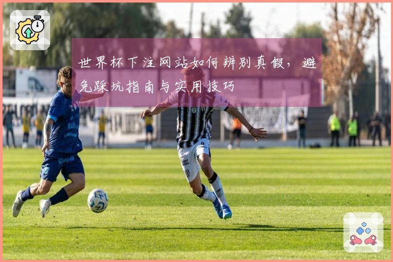 世界杯下注网站如何辨别真假，避免踩坑指南与实用技巧