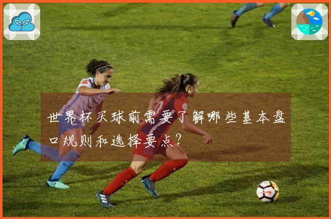 世界杯买球前需要了解哪些基本盘口规则和选择要点？