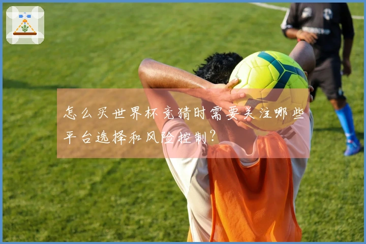 怎么买世界杯竞猜时需要关注哪些平台选择和风险控制？
