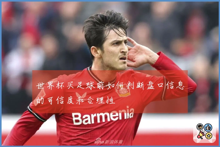 世界杯买足球前如何判断盘口信息的可信度和合理性