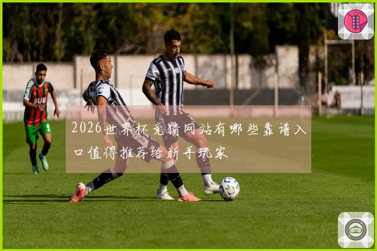 2026世界杯竞猜网站有哪些靠谱入口值得推荐给新手玩家