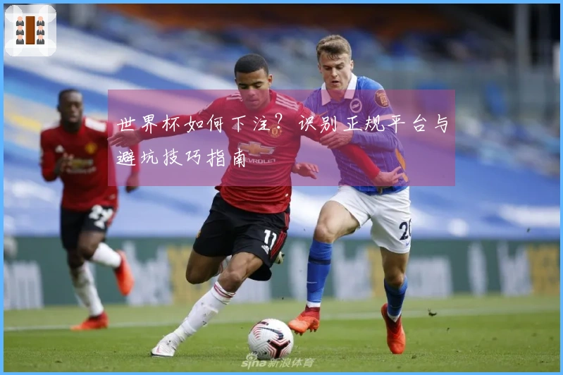 世界杯如何下注？识别正规平台与避坑技巧指南
