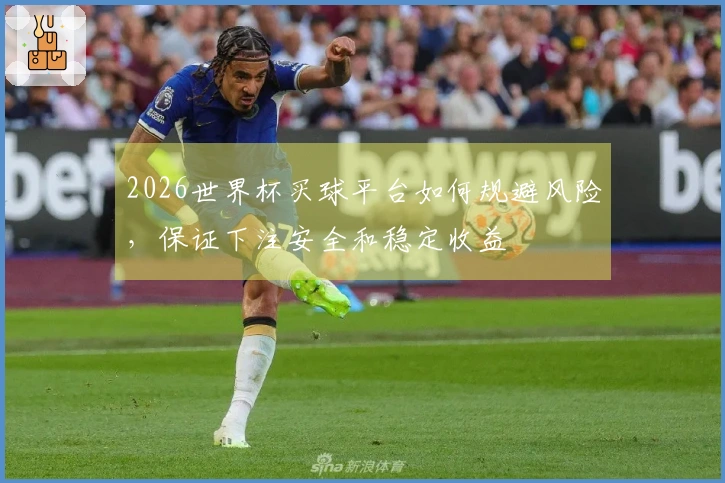 2026世界杯买球平台如何规避风险，保证下注安全和稳定收益