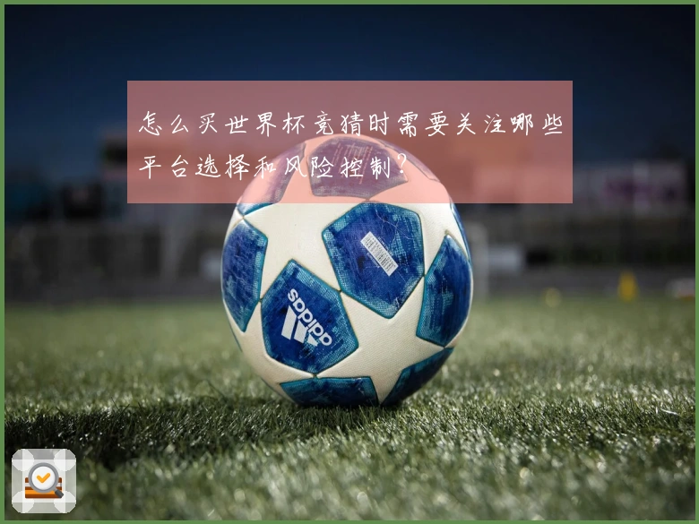 怎么买世界杯竞猜时需要关注哪些平台选择和风险控制？