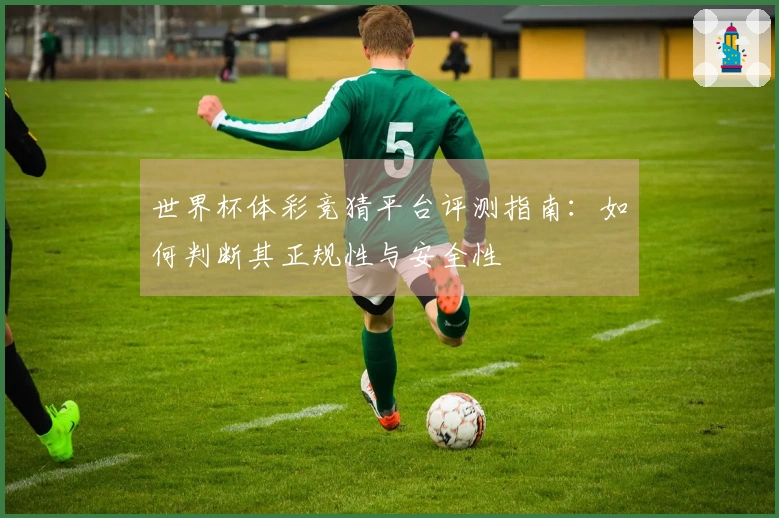 世界杯体彩竞猜平台评测指南：如何判断其正规性与安全性