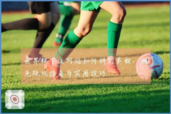 世界杯下注网站如何辨别真假，避免踩坑指南与实用技巧