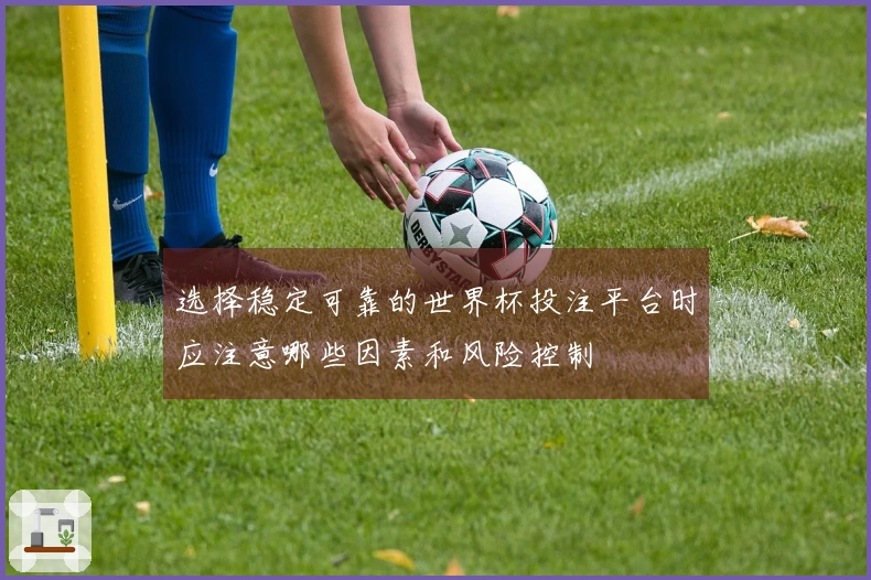 选择稳定可靠的世界杯投注平台时应注意哪些因素和风险控制