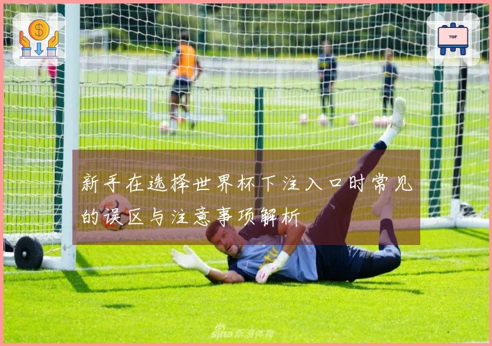 新手在选择世界杯下注入口时常见的误区与注意事项解析