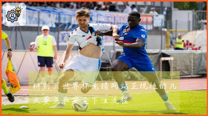 辨别买世界杯竞猜网站正规性的几大要点和安全下注流程