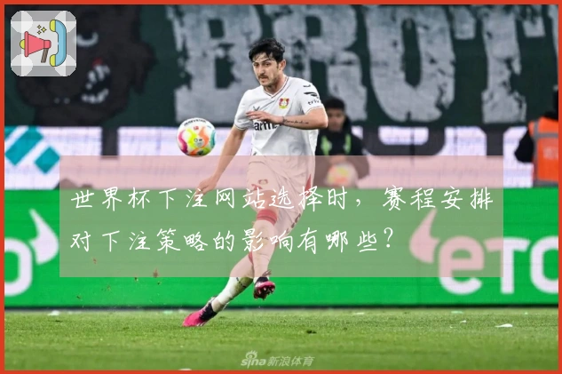 世界杯下注网站选择时，赛程安排对下注策略的影响有哪些？