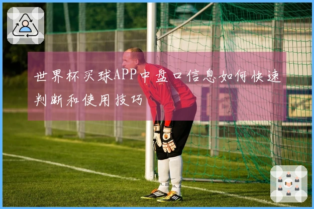 世界杯买球APP中盘口信息如何快速判断和使用技巧