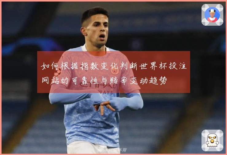 如何根据指数变化判断世界杯投注网站的可靠性与赔率变动趋势