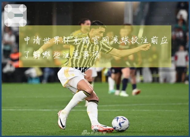 申请世界杯竞猜官网滚球投注前应了解哪些注意事项