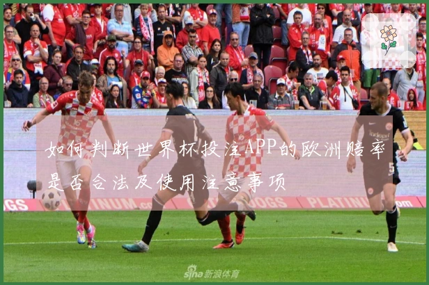 如何判断世界杯投注APP的欧洲赔率是否合法及使用注意事项