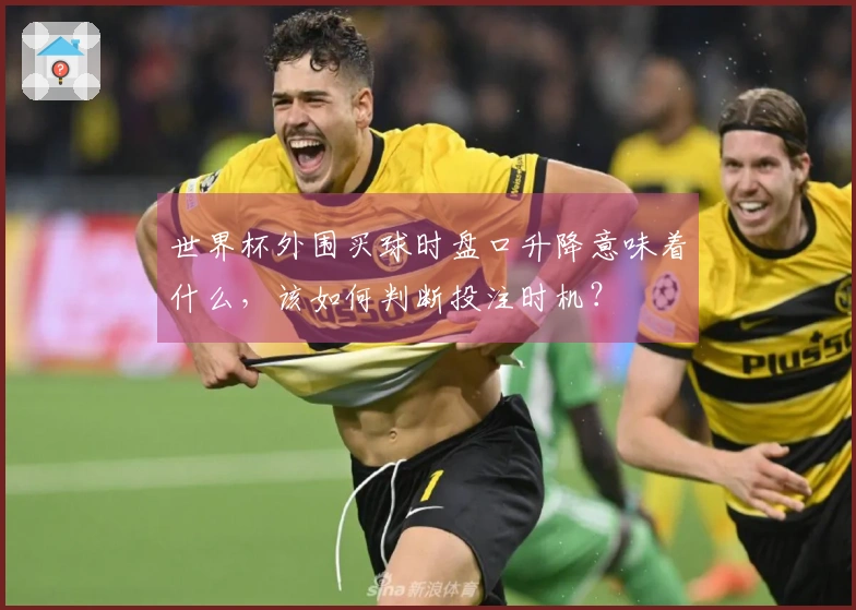 世界杯外围买球时盘口升降意味着什么，该如何判断投注时机？