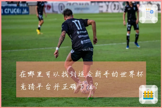 在哪里可以找到适合新手的世界杯竞猜平台并正确下注？