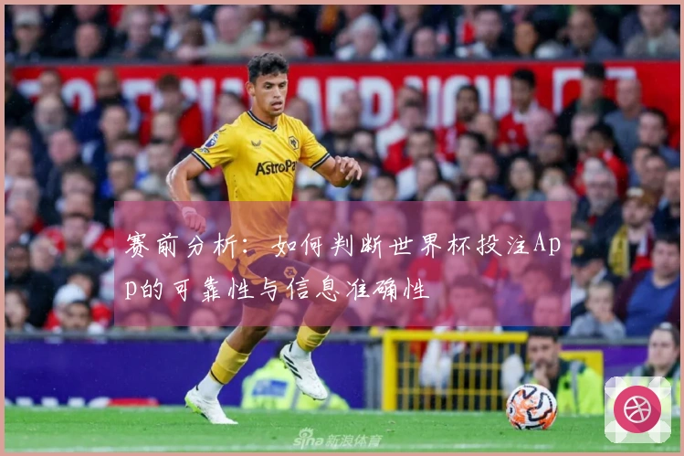 赛前分析：如何判断世界杯投注App的可靠性与信息准确性