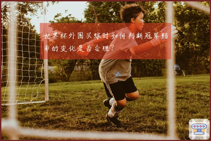 世界杯外围买球时如何判断冠军赔率的变化是否合理？