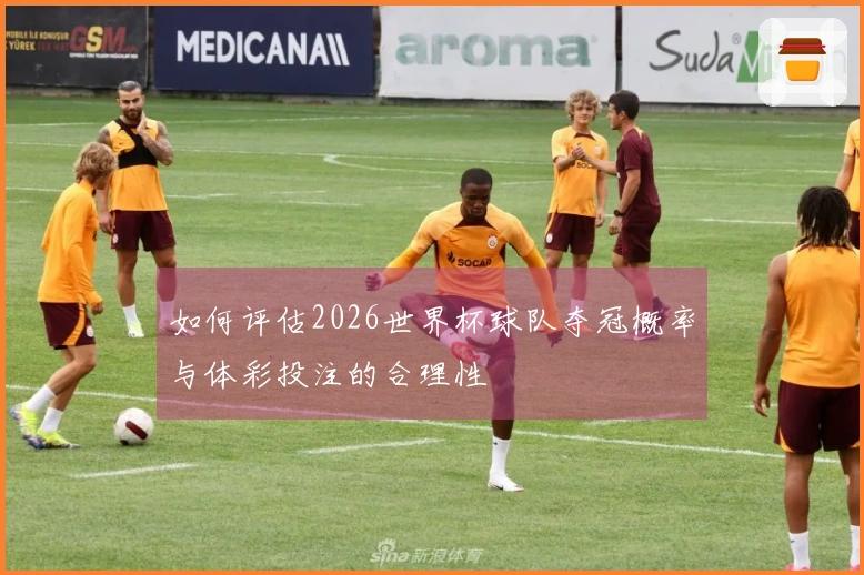 如何评估2026世界杯球队夺冠概率与体彩投注的合理性