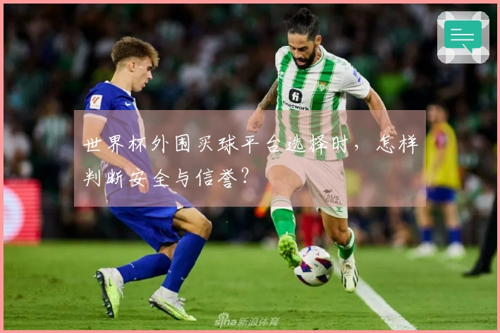 世界杯外围买球平台选择时，怎样判断安全与信誉？