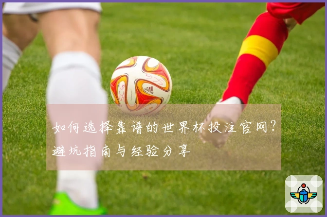 如何选择靠谱的世界杯投注官网？避坑指南与经验分享