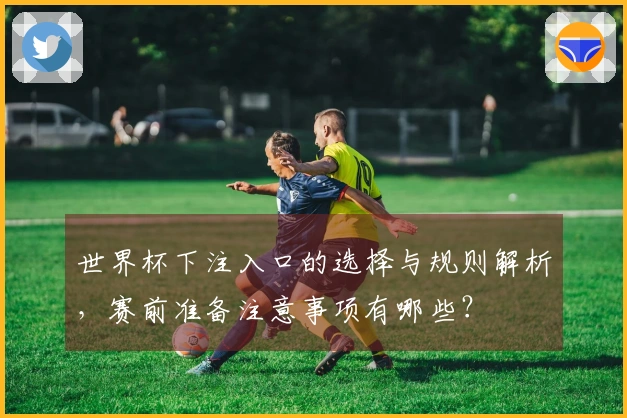 世界杯下注入口的选择与规则解析，赛前准备注意事项有哪些？