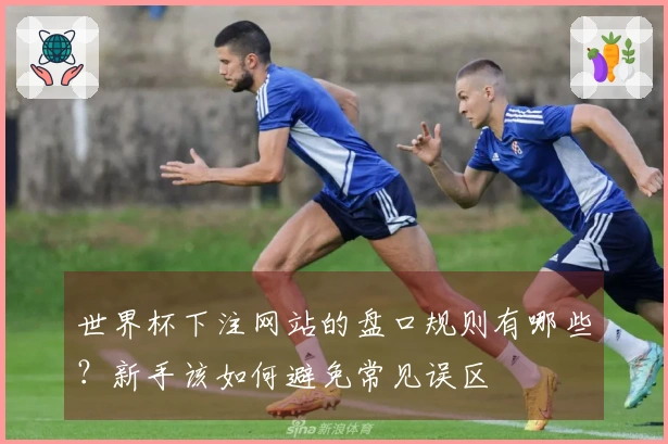世界杯下注网站的盘口规则有哪些？新手该如何避免常见误区