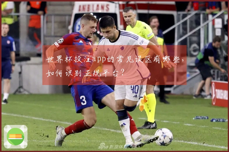 世界杯投注app的常见误区有哪些，如何识别正规平台？